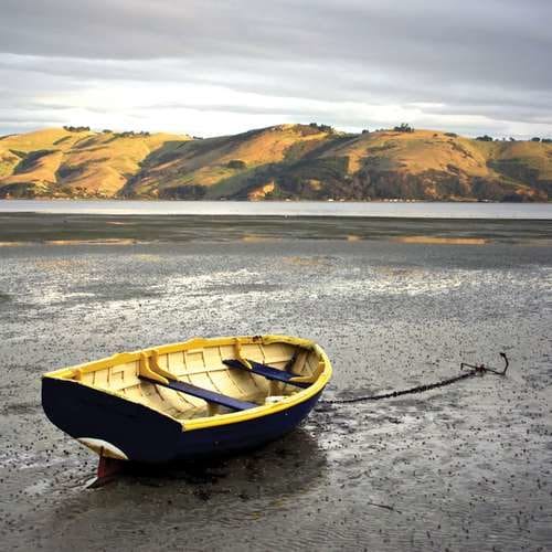 Nature_Rowboat-tide-Dunedin-South-Island-NZ-Otago