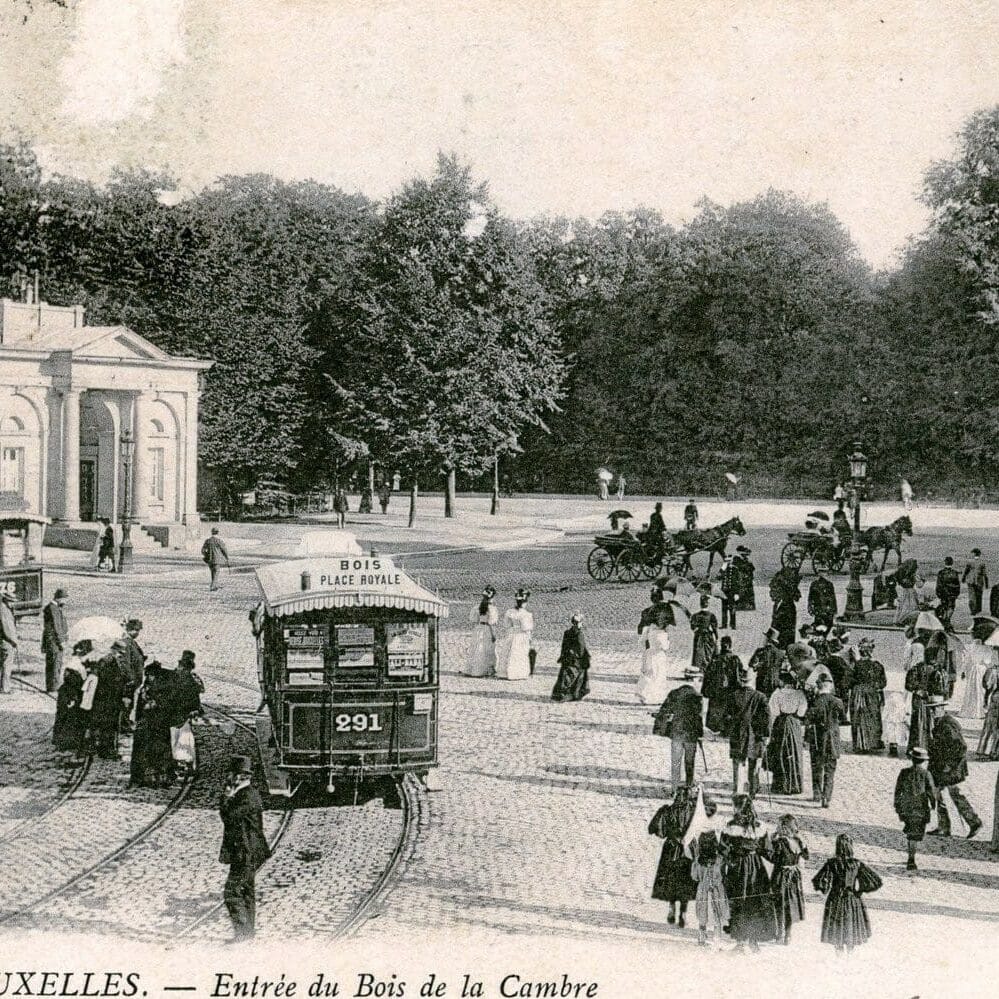 phoca_thumb_l_03.BRUXELLES, bois de la Cambre-22 phoca_thumb_l_03.BRUXELLES, bois de la Cambre-22